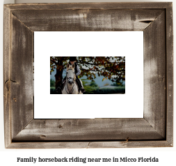 family horseback riding near me in Micco, Florida